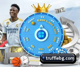 星空网登录 APP 深度功能