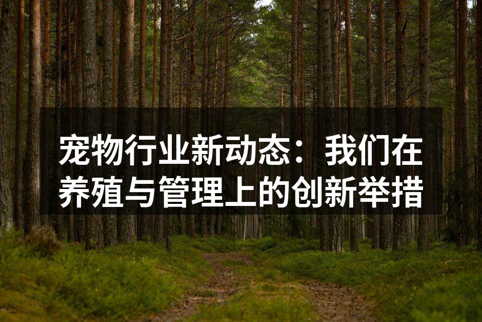 宠物行业新动态：我们在养殖与管理上的创新举措