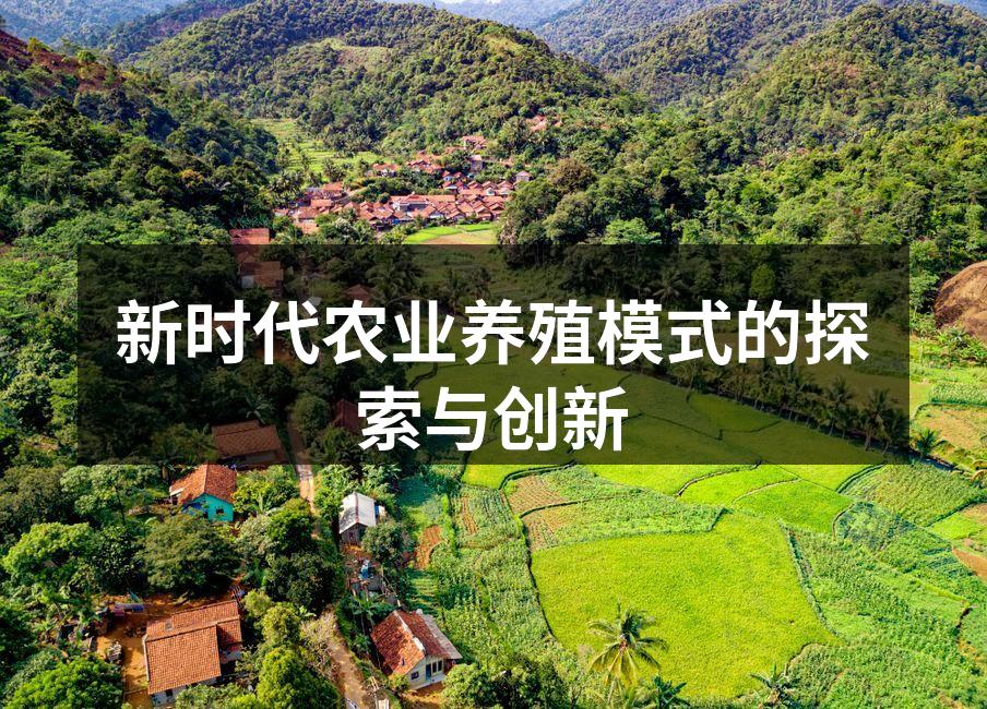 新时代农业养殖模式的探索与创新