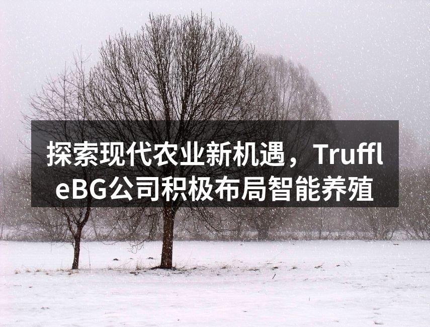 探索现代农业新机遇，TruffleBG公司积极布局智能养殖